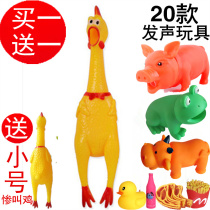 Net Red Frog toy silicone screaming chicken screaming chicken Teddy dog voice pig resistant to bite desperate pinching will call