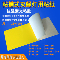 Sticky Fly paper Drosophila lamp Sticky Trap Mosquito lamp Sticky Insect plate Sticky Fly Plate Fly Stick to Fly Paper Super Power 10 Mount Clothing