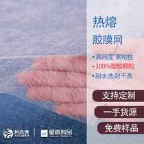 Hot melt adhesive film mesh PA material XWA116 model washable and dry cleaning hot melt adhesive mesh manufacturers