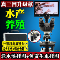 High-power binocular three-eye aquaculture special microscope for microbial algae fish diseases probiotics fish diseases probiotics