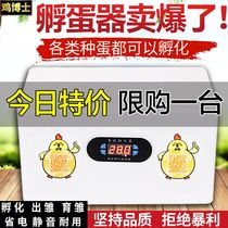 Smart water bed incubator full automatic small household incubator chicken duck goose pigeon quail egg incubator equipment