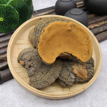 Chinese herbal medicine Phellinus Phellinus wild Phellinus tea raw super 500g health tea mulberry yellow powder Ganoderma lucidum is not Tongrentang
