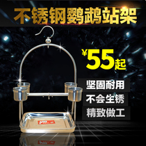 Parrot stand stainless steel large small sun Xuanfeng Monk Shrike small and medium-sized live bird training bird shelf supplies