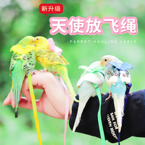 Xuanfeng tiger skin parrot flying bird rope starlings special for flying towing rope training Bird artifact toy supplies