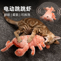 Cat and cat toy ball self-Hi pet dog kitten automatic relief artifact gnawing grinding teeth electric simulation fish