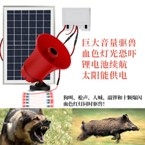Solar drive wild beast recording horn amplification timing tweeter scare wild boar to catch Wolf monkey Bear rabbit bird bird Finch