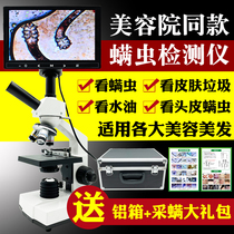 Beauty salon facial skin mite detection instrument Professional look at scalp follicle mites microscopy HD Portable