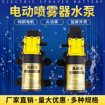12v agricultural electric sprayer water pump diaphragm pump intelligent high pressure sprayer high power