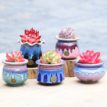 White light coarse pottery ice crack exquisite control type multi-meat flowerpot small single head meat pot Jingdezhen creative personality flowerpot