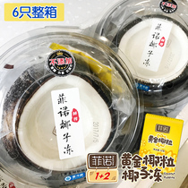 Fino 1 2 golden coconut coconut jelly fresh fruit coco coconut jelly jelly pudding 6 original box gift box
