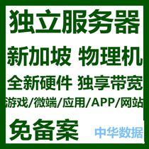 Singapore dedicated server Physical machine rental station group Multi-IP hen exclusive bandwidth direct connection high record-free CN