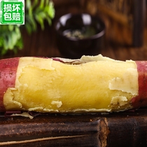 Shanxi specialty Yushe chestnut sweet potato sweet flour waxy 2019 fresh farmer self-growing melon potato sweet potato 5 kg