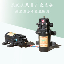 HY-4700 Huyue 12V high pressure diaphragm pump agricultural electric sprayer pump micro spray pump booster pump
