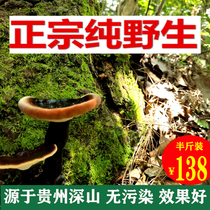 Guizhou deep mountains pure wild Ganoderma lucidum natural purple Ganoderma lucidum 250g small Ganoderma lucidum wine