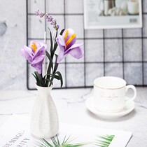 Fire-free air freshener aromatherapy toilet durable bathroom living room bedroom household spices ornaments