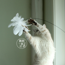 Mousse fell in love with the French Pegger self-hi long steel wire sucker fluffy feather dual-purpose cat cat toy