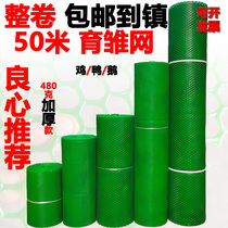 Green plastic flat grid protection chicken fence poultry breeding rubber net chicken duck goose seedling mat net leakage fecal mesh