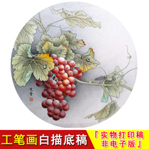 Yu Wenpu Flower and bird round sketch Grape Tien Niu Gongbi painting white sketch manuscript Physical print non-electronic version WP02