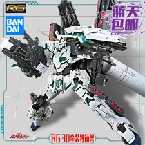 Spot Bando RG 30 1 144FA fully armed fully armored fully equipped unicorn awakening green skeleton
