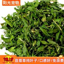 Alfalfa grass pure leaves picky food pet does not waste young rabbit Chinchilla guinea pig pasture drying grass rabbit grain grass 1kg