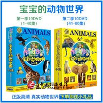 Genuine Early Childhood CD Babys Animal World Complete Encyclopedia Knowledge HD Video dvd Disc