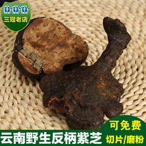 Yunnan Wild Anti-handle Zizhi Whole Branches Wild Purple Lingzhi Natural Wild Black Lingzhi Rinzhi 250 gr