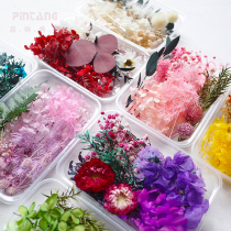 Yongsheng flower DIY dried flower mixed box real flower fan photo frame embossed glue floating flower handmade words material bag
