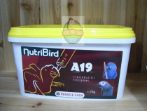 Zhengxingshao Belgian young bird a19 parrot milk powder 3KG except for the remote country