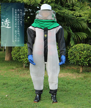 Golden ring wasp clothing anti-bee jumpsuit full body breathable wasp clothing thick breathable bee clothing mesh wasp clothing