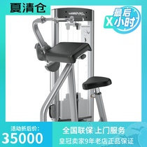 Original LIFEFITNESS Brand OSTE Series Triceps Stretching Trainer OSTE