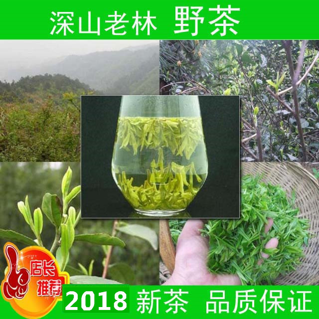 14 42 Dabie Mountain Bamboo Garden 250g Wild Tea In Pine Forest