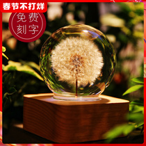 Dandelion specimen crystal ball ornaments high-end gifts birthday valentine's day gifts for girls creative wedding gifts