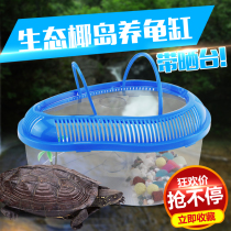 Small turtle tank with drying table with lid plastic tank Brazil turtle breeding basin pet large small and medium turtle box