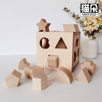 Buckle hole toy baby hand-eye coordination baby 0-1-2-3 years old gouge geometry matching cognitive puzzle box