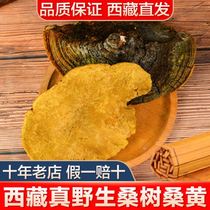 (15 years Wild) Tibet wild Mulberry Mulberry Ganoderma lucidum powder 500g Mulberry