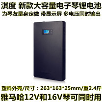 Qi-degree electronic violin outdoor mobile power Yamaha X600S670 SX700SX900 lithium battery 16V battery