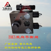Hydraulic motor balance valve lock block Single two-way BM2 BM3 BM5 balance valve Relief valve Relief valve Mechanical crane