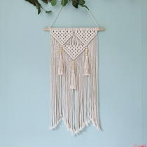 Woven tapestry Nordic ins handmade wall canvas shaking sound Net red tassel homestay soft decoration meter box cover