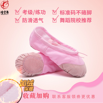 Smoke Cloud Dance Children Plus Suede Dance Shoes Autumn Winter Thickened Ballet Shoes Gymnastics Shoes Soft-bottom Exercises Cat Paw Shoes