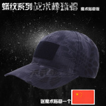 Camouflage tactical baseball cap cap Velcro special forces hat male CP Sansha ACU ruins