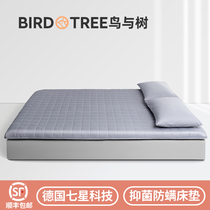 Bird and tree mattress padded student dormitory single summer thin household tatami mattress for rent