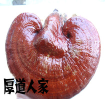Kind peoples parents Baishan Ganoderma lucidum red Ganoderma lucidum free sliced ​​powder lingzhi 250g 29 90 yuan