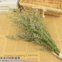 Dry Flower Lover Grass Pendulum Pieces Emulation Flower Props Flower Web Store Photo Shoot Photography Props Photo Shoot
