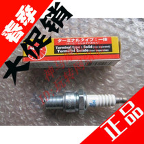 New Devils original imported NGK platinum spark plugs (14x19mm) two-stroke imported sports car