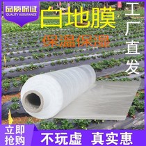 High quality agricultural white mulch greenhouse planting plastic film Vegetables and fruits nursery insulation moisturizing dustproof white film