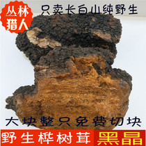 Changbai Mountain wild birch tree tear gall natural Inonotus Brown fungus black crystal sliced powder new product whole 500g