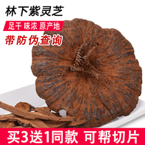 Semi-wild Ganoderma lucidum Changbai Mountain under the forest semi-wild pruning purple Linzhi Black Ganoderma lucidum 250g buy 3 get 1