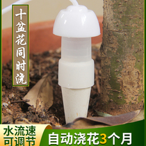 Automatic watering device Watering artifact lazy household green plant timing watering device Drip irrigation device seepage device drip device