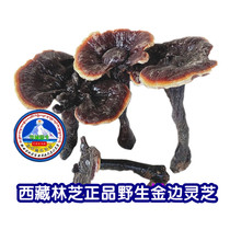 Ganoderma lucidum Tibetan specialty Phnom Penh Ganoderma lucidum 255g wild Ganoderma lucidum non-Changbai Mountain Ganoderma lucidum broken spore powder tea