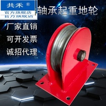 National standard lifting wheel ground wheel fixed pulley wire rope guide wheel bearing steel wheel fixed pulley block custom